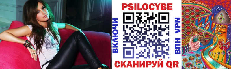 Псилоцибиновые грибы Psilocybine cubensis  Навашино 